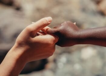 Bridging Gaps in Adoption Trauma Care: Enhancing Crisis Intervention and Mental Health Support