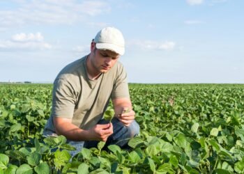 ‘Tis the Season: A Guide to Hiring and Managing Seasonal Workers